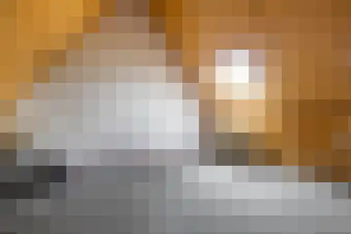 Nehrusingel 15 Ede thumbnail 24