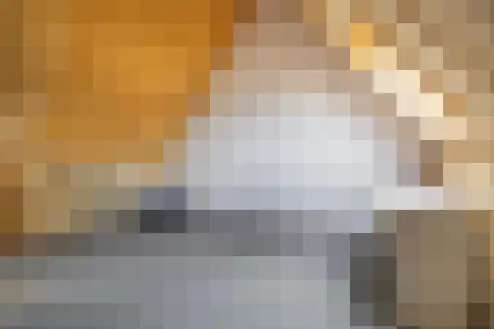 Nehrusingel 15 Ede thumbnail 25