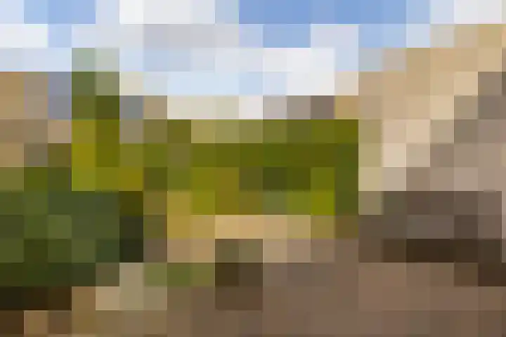 Nehrusingel 15 Ede thumbnail 26
