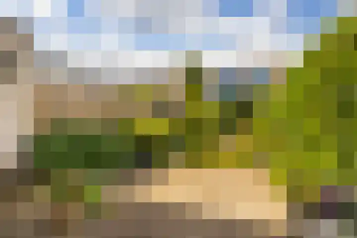Nehrusingel 15 Ede thumbnail 27