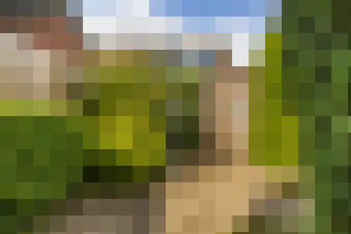 Nehrusingel 15 Ede thumbnail 28