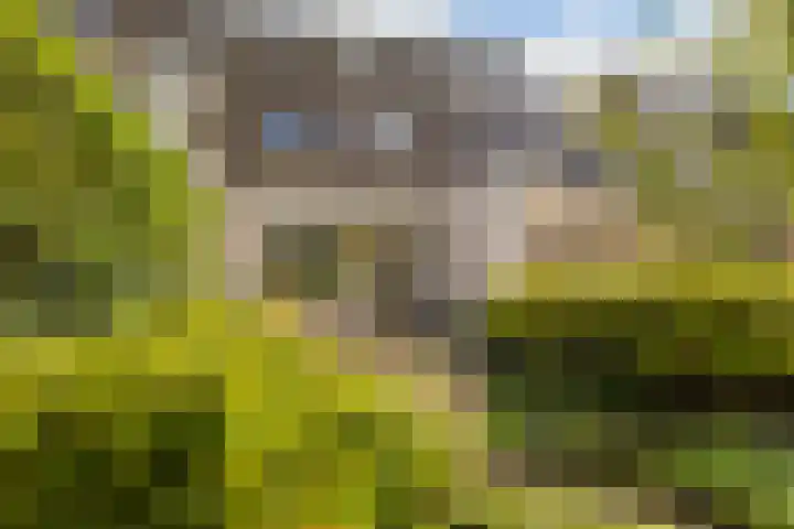 Nehrusingel 15 Ede thumbnail 29