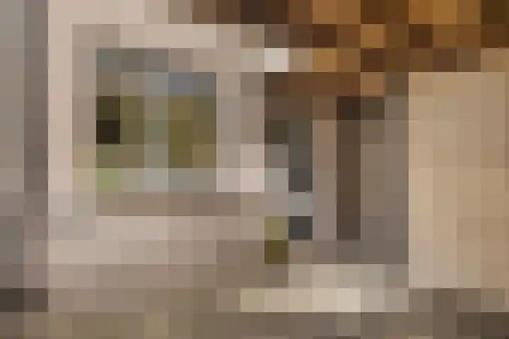 Nehrusingel 15 Ede thumbnail 30