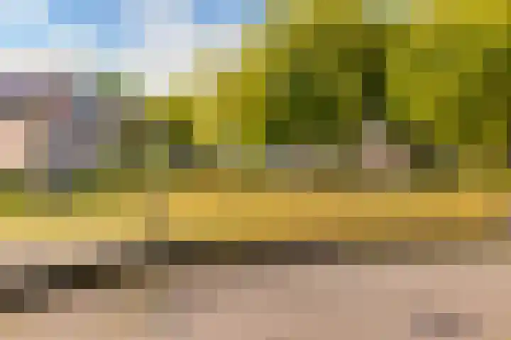 Nehrusingel 15 Ede thumbnail 33