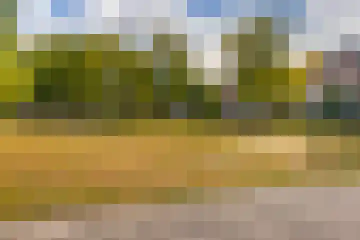 Nehrusingel 15 Ede thumbnail 34