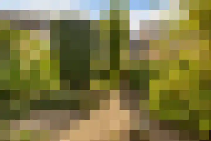 Nehrusingel 15 Ede thumbnail 4