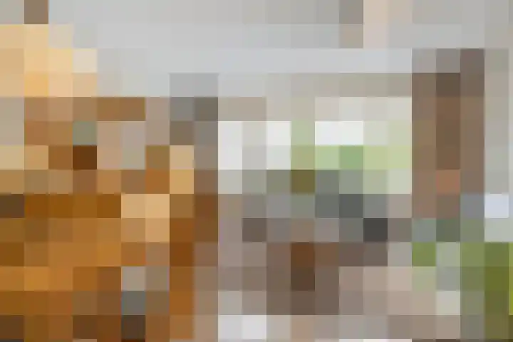 Nehrusingel 15 Ede thumbnail 6