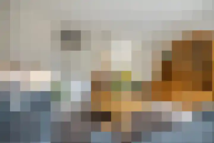 Nehrusingel 15 Ede thumbnail 8