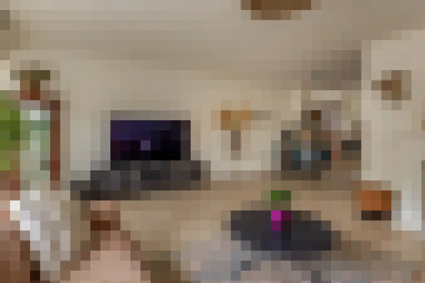 Nehrusingel 30 Rotterdam thumbnail 13