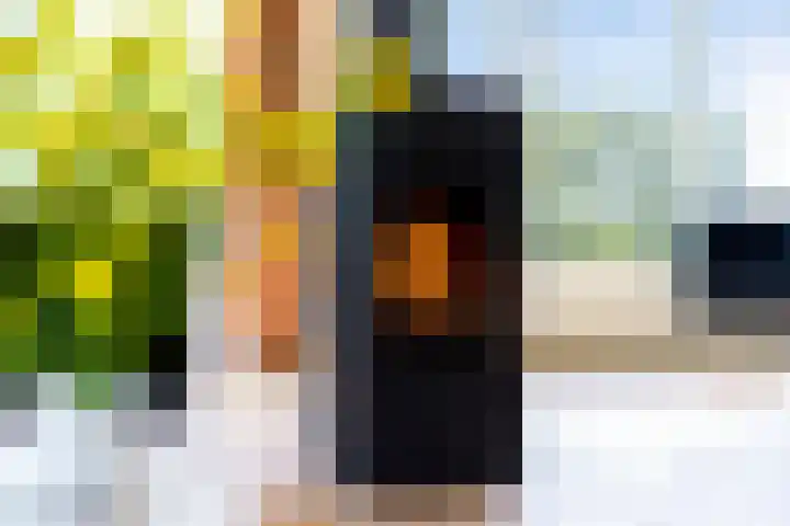 Nei de Feart 15 Warns thumbnail 18