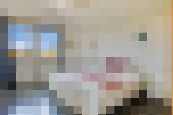 Nei de Feart 15 Warns thumbnail 26