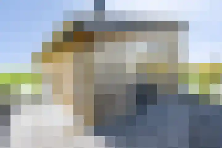 Nei de Feart 15 Warns thumbnail 32