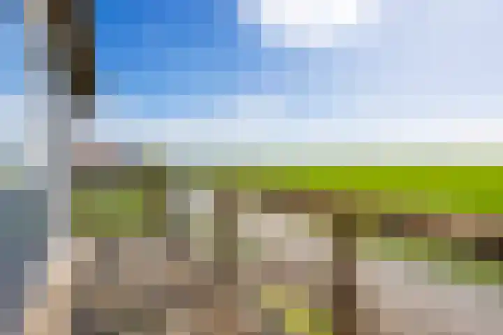 Nei de Feart 15 Warns thumbnail 33
