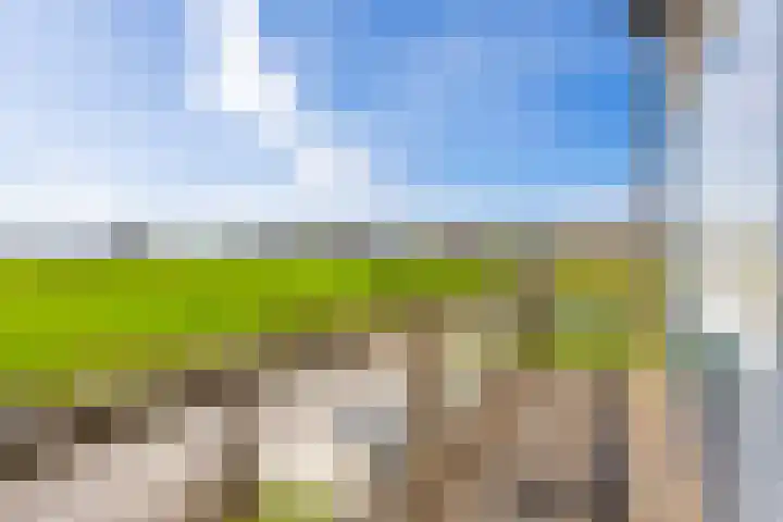 Nei de Feart 15 Warns thumbnail 34