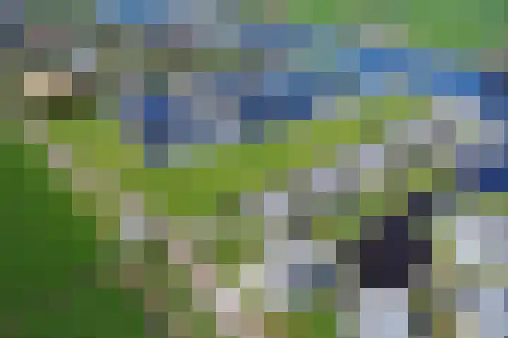 Nei de Feart 15 Warns thumbnail 41