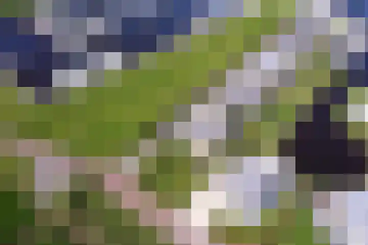 Nei de Feart 15 Warns thumbnail 42