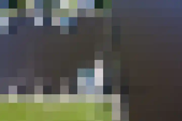 Nei de Feart 15 Warns thumbnail 43