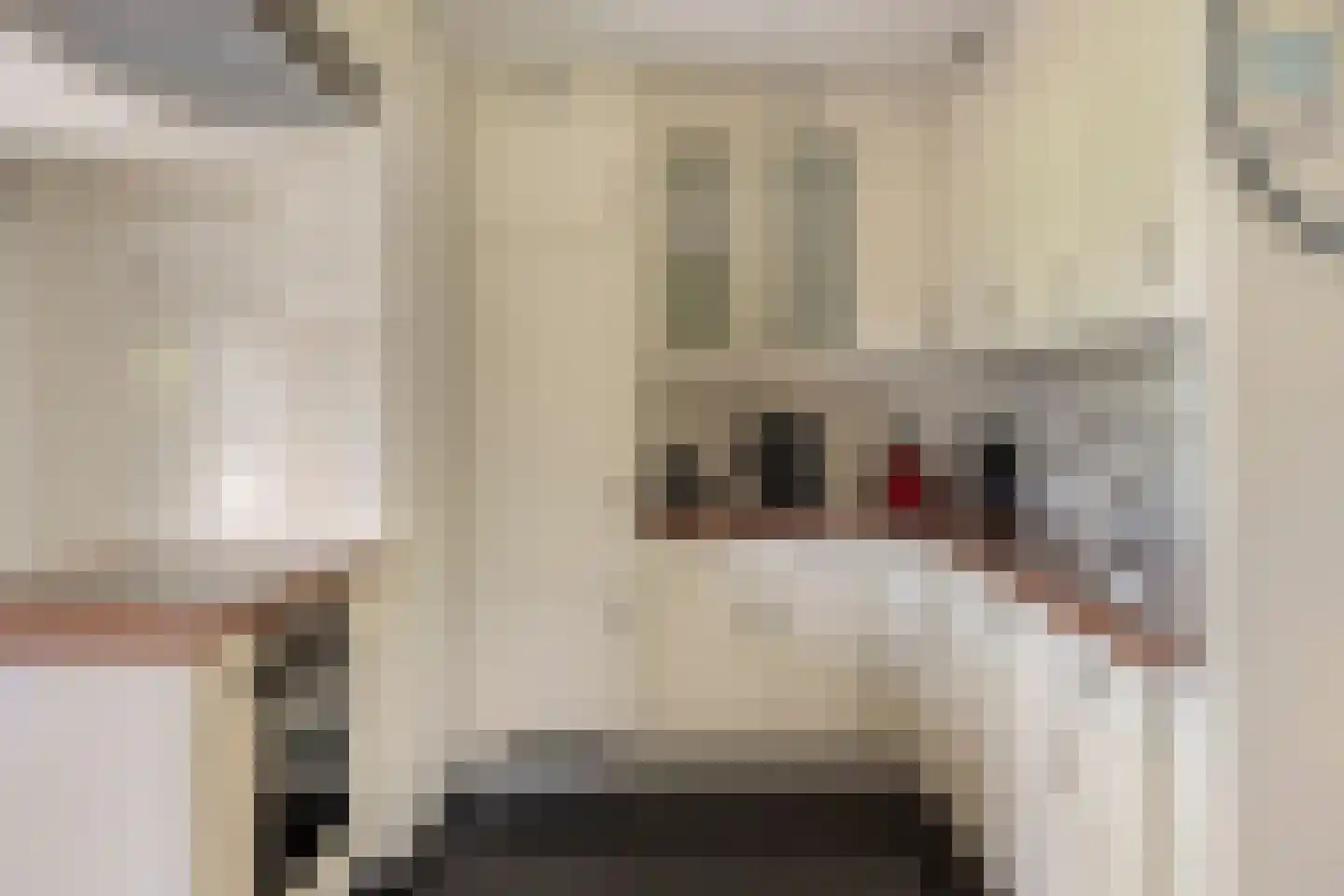 Neijlandstraat 13 Westendorp thumbnail 15