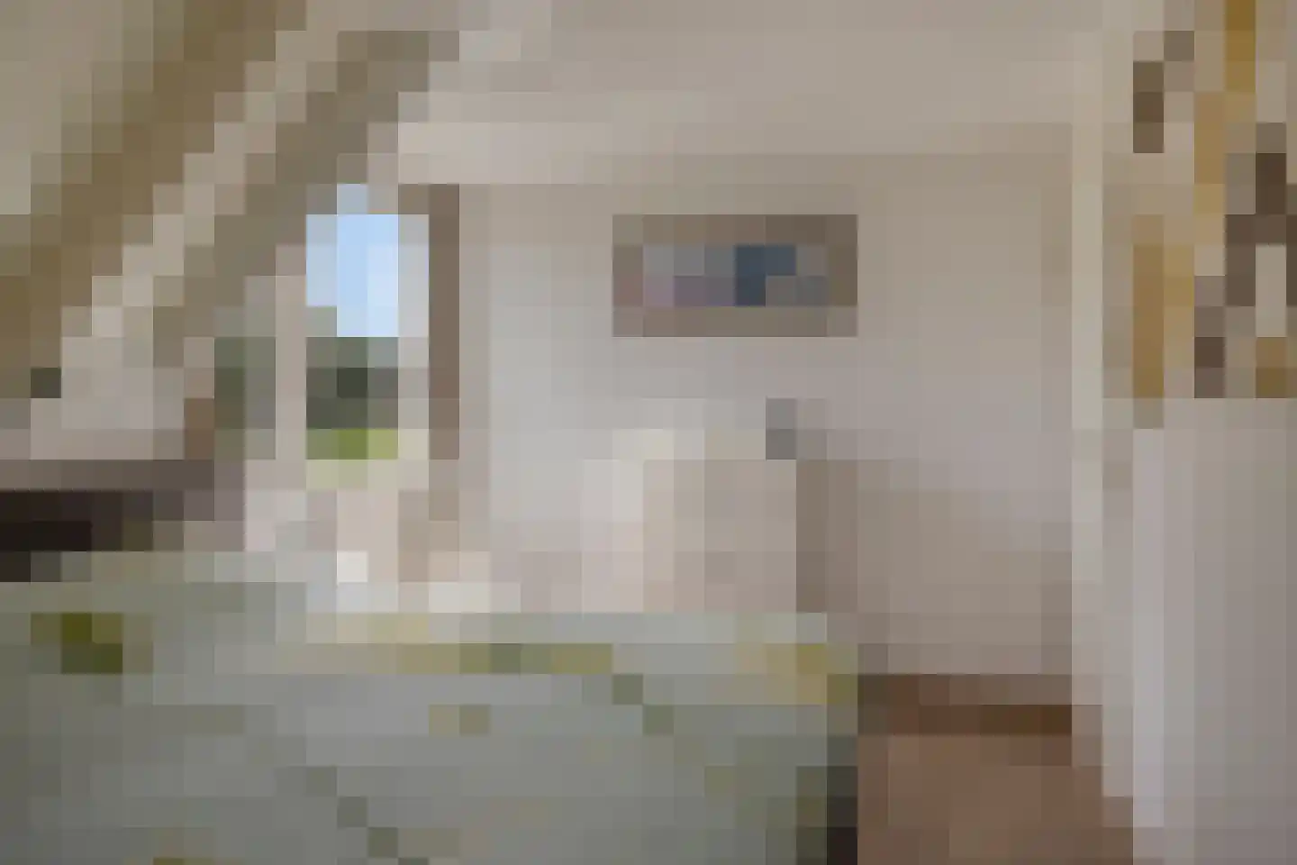 Neijlandstraat 13 Westendorp thumbnail 23