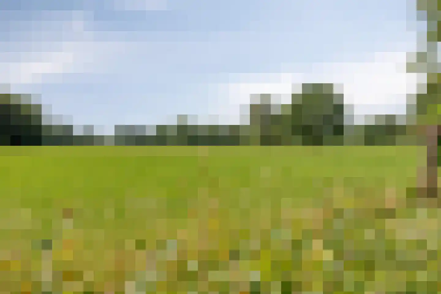 Neijlandstraat 13 Westendorp thumbnail 35