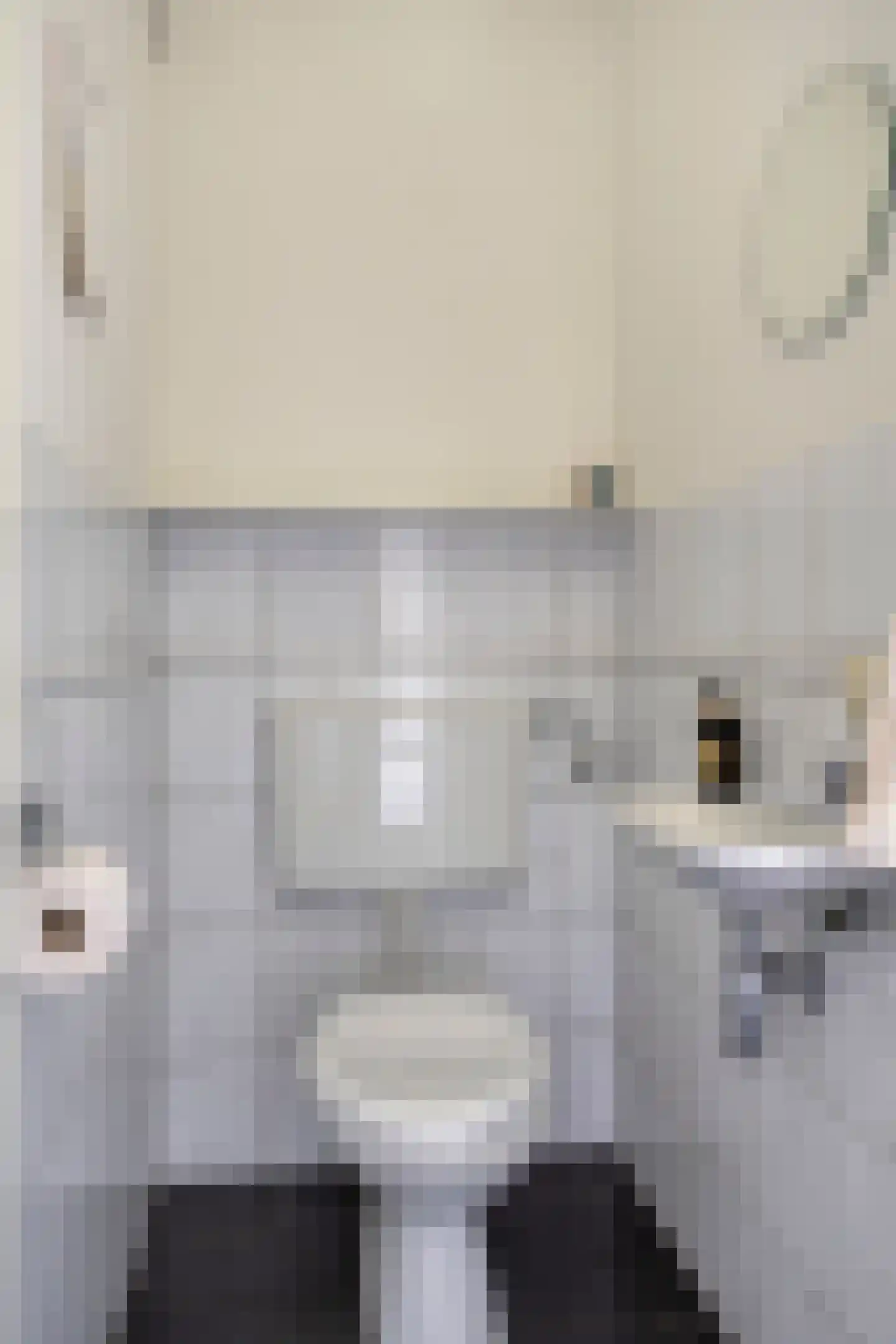 Neijlandstraat 13 Westendorp thumbnail 8