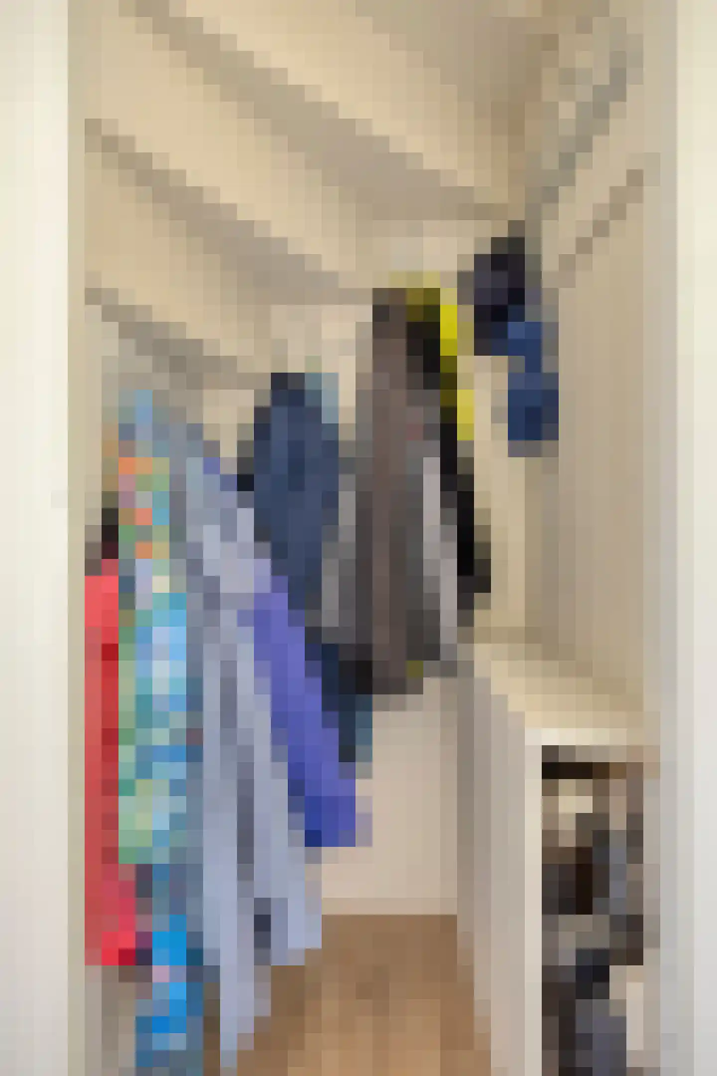 Neijlandstraat 13 Westendorp thumbnail 9