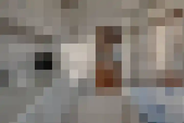 Neil Armstrongstraat 1 Holtum thumbnail 16