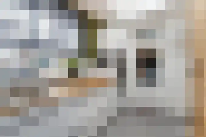 Neil Armstrongstraat 5 Holtum thumbnail 16