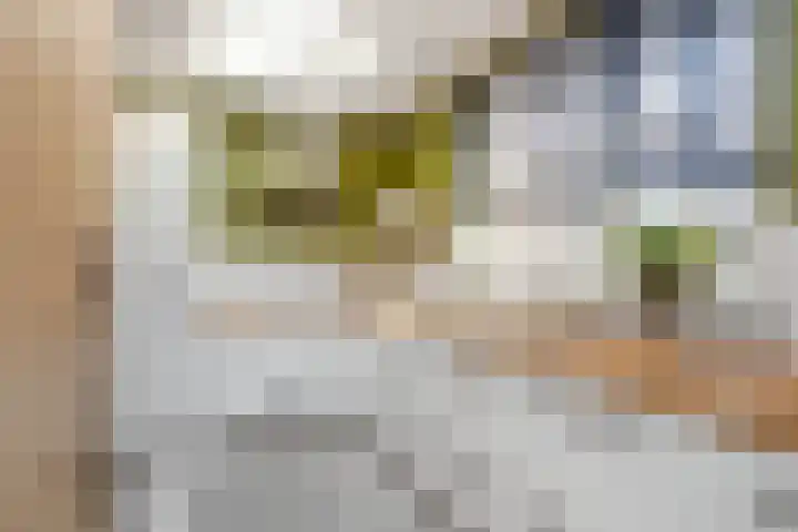 Neil Armstrongstraat 5 Holtum thumbnail 17