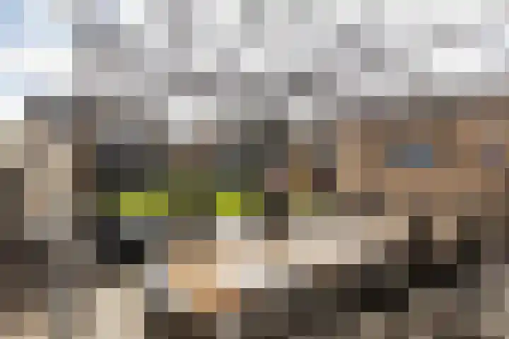Neil Armstrongstraat 5 Holtum thumbnail 29