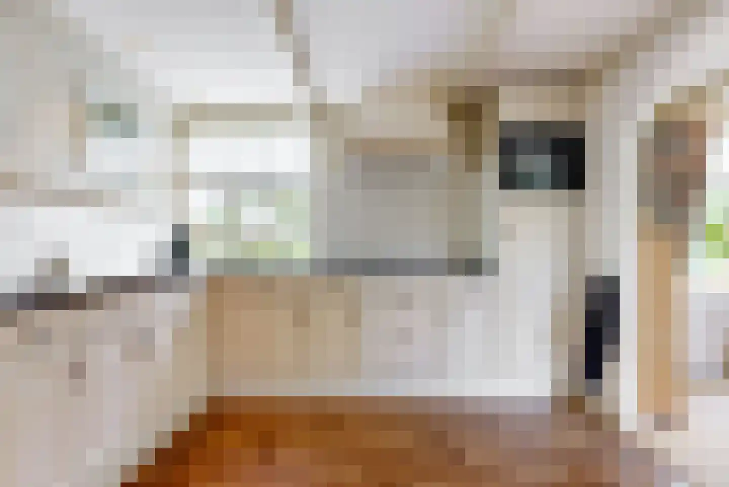 Nekkerweg 31 Zuidoostbeemster thumbnail 10