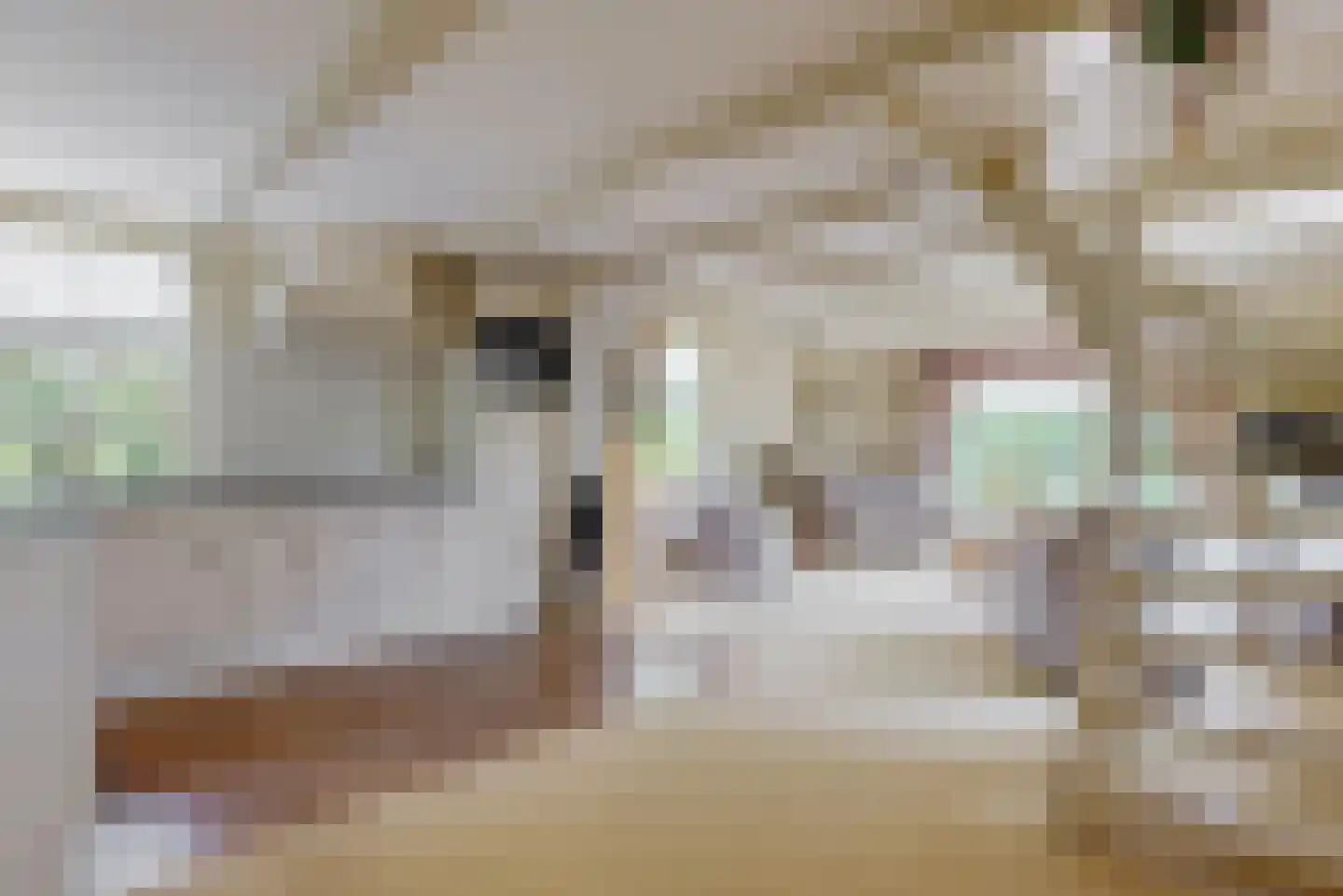 Nekkerweg 31 Zuidoostbeemster thumbnail 12
