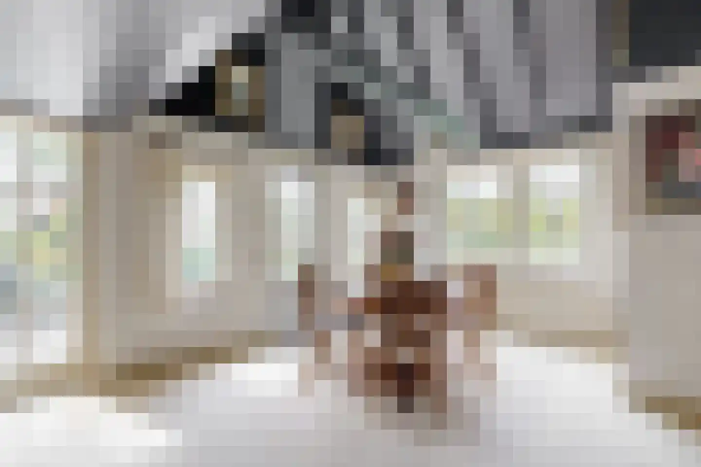 Nekkerweg 31 Zuidoostbeemster thumbnail 14