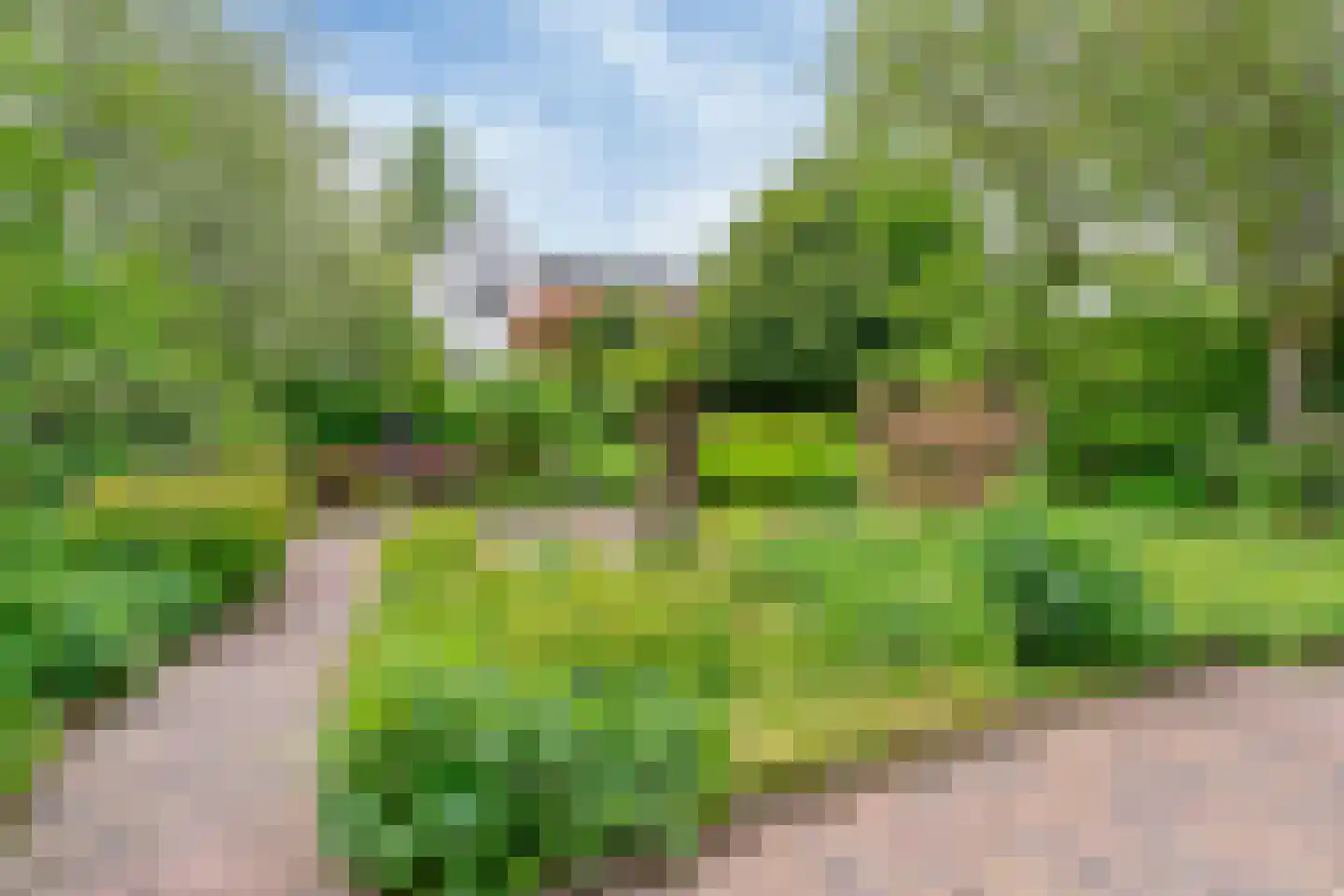 Nekkerweg 31 Zuidoostbeemster thumbnail 31