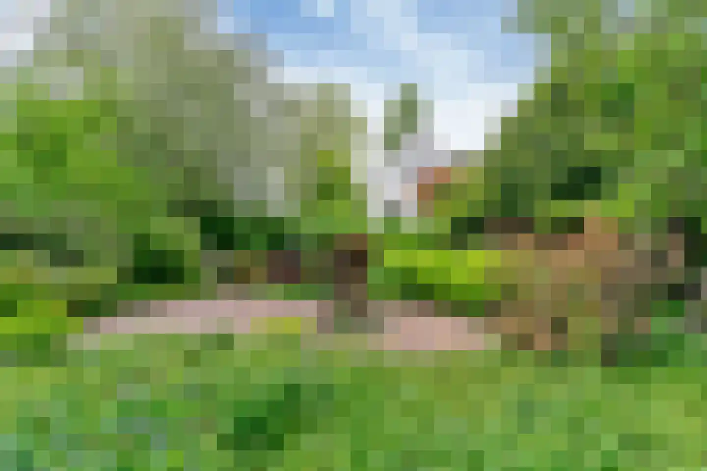 Nekkerweg 31 Zuidoostbeemster thumbnail 39