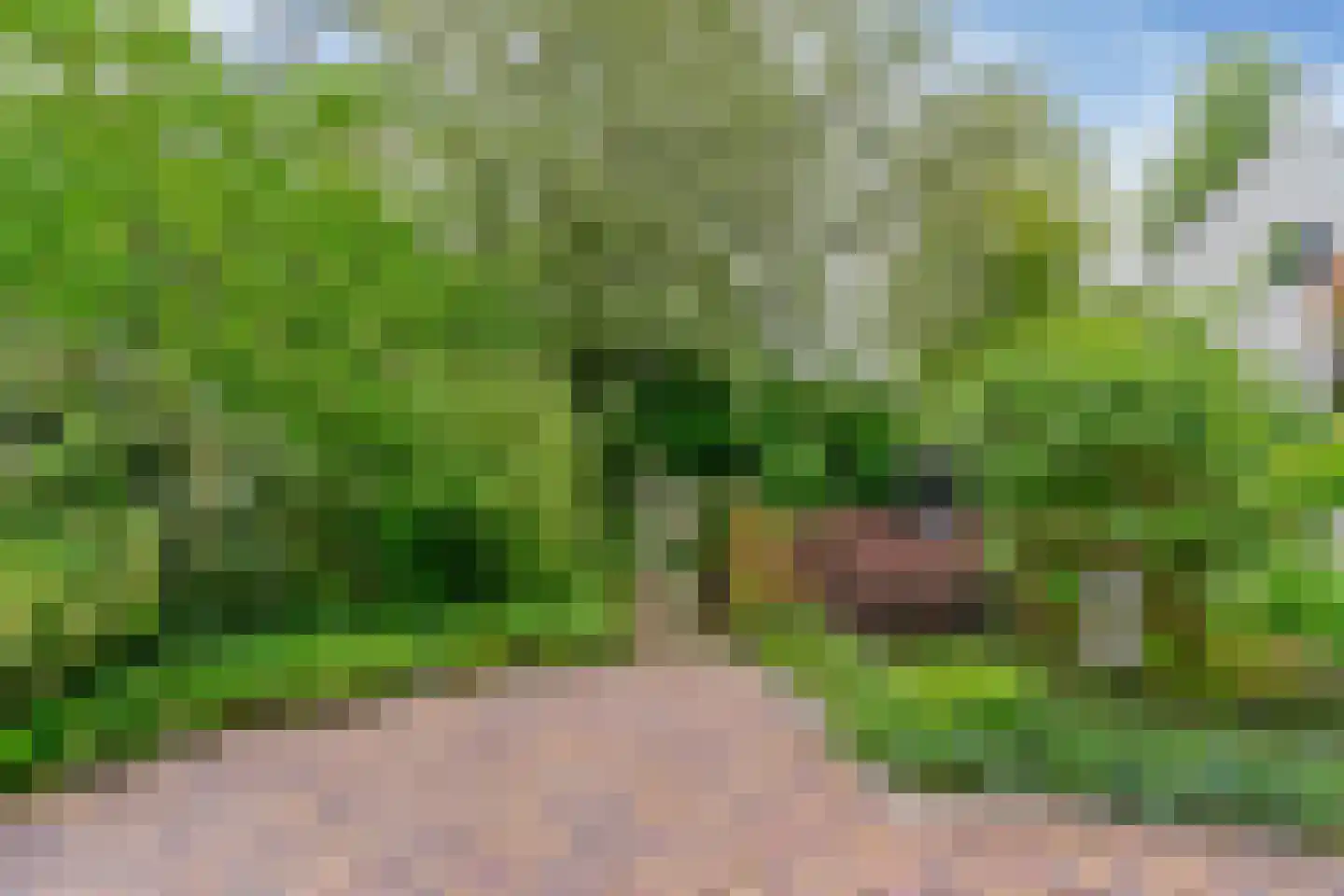 Nekkerweg 31 Zuidoostbeemster thumbnail 41