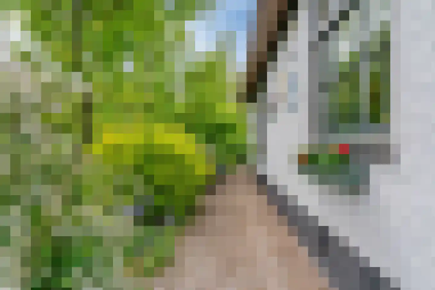 Nekkerweg 31 Zuidoostbeemster thumbnail 43