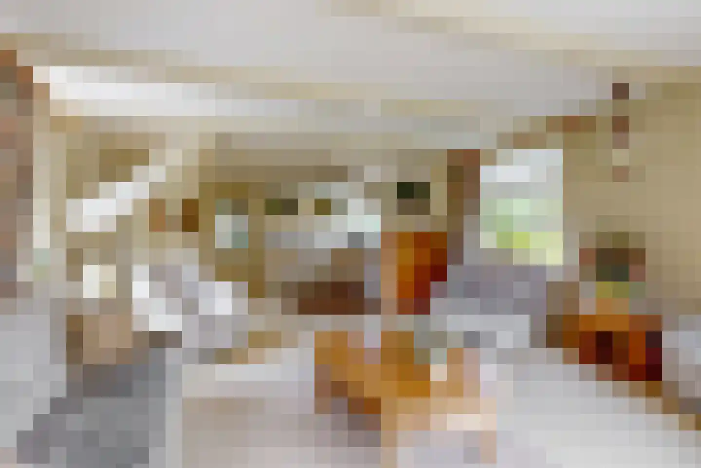 Nekkerweg 31 Zuidoostbeemster thumbnail 8