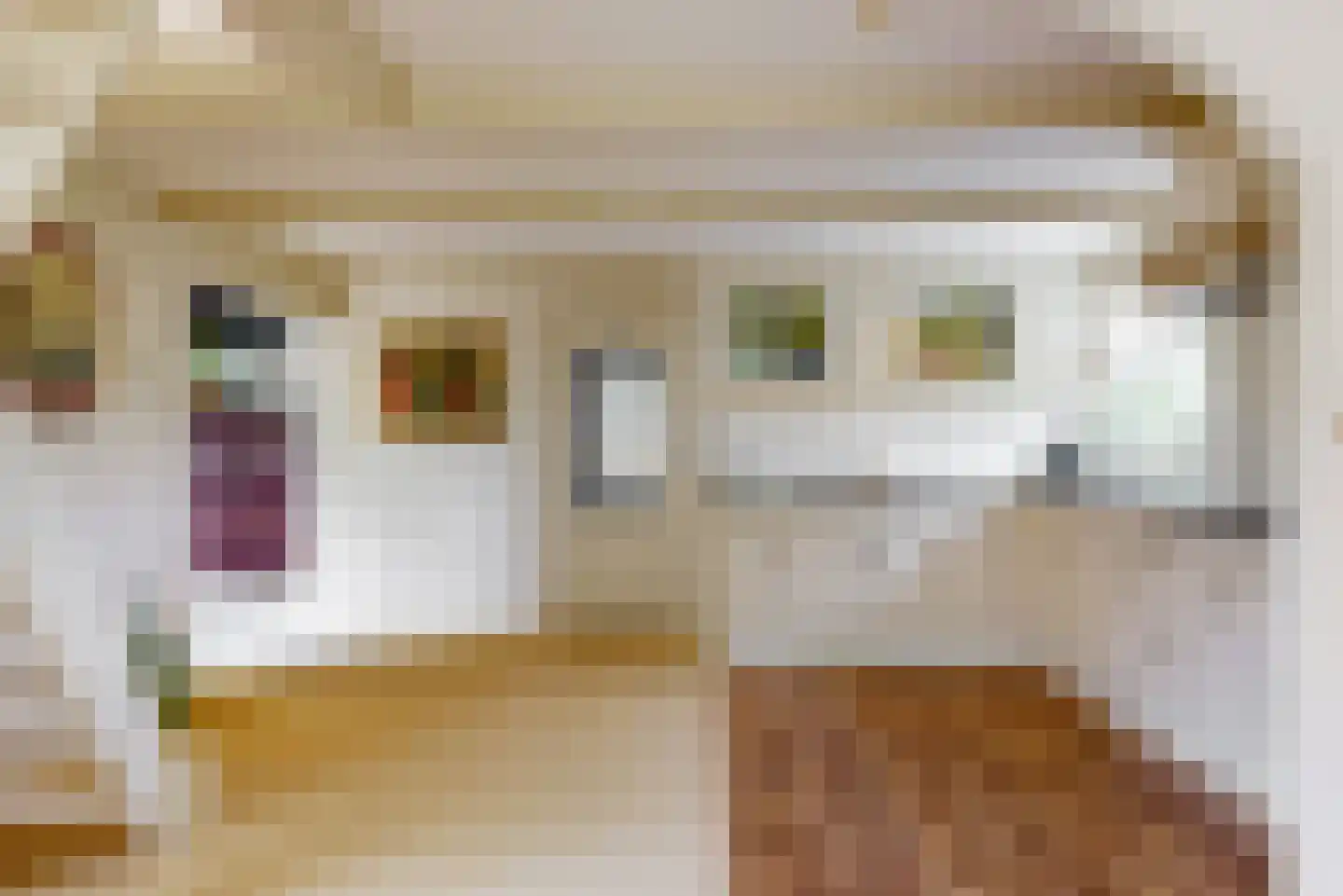 Nekkerweg 31 Zuidoostbeemster thumbnail 9