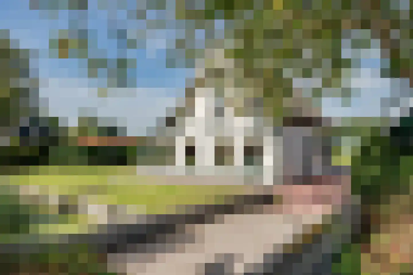 Nekkerweg 50 Zuidoostbeemster thumbnail 17