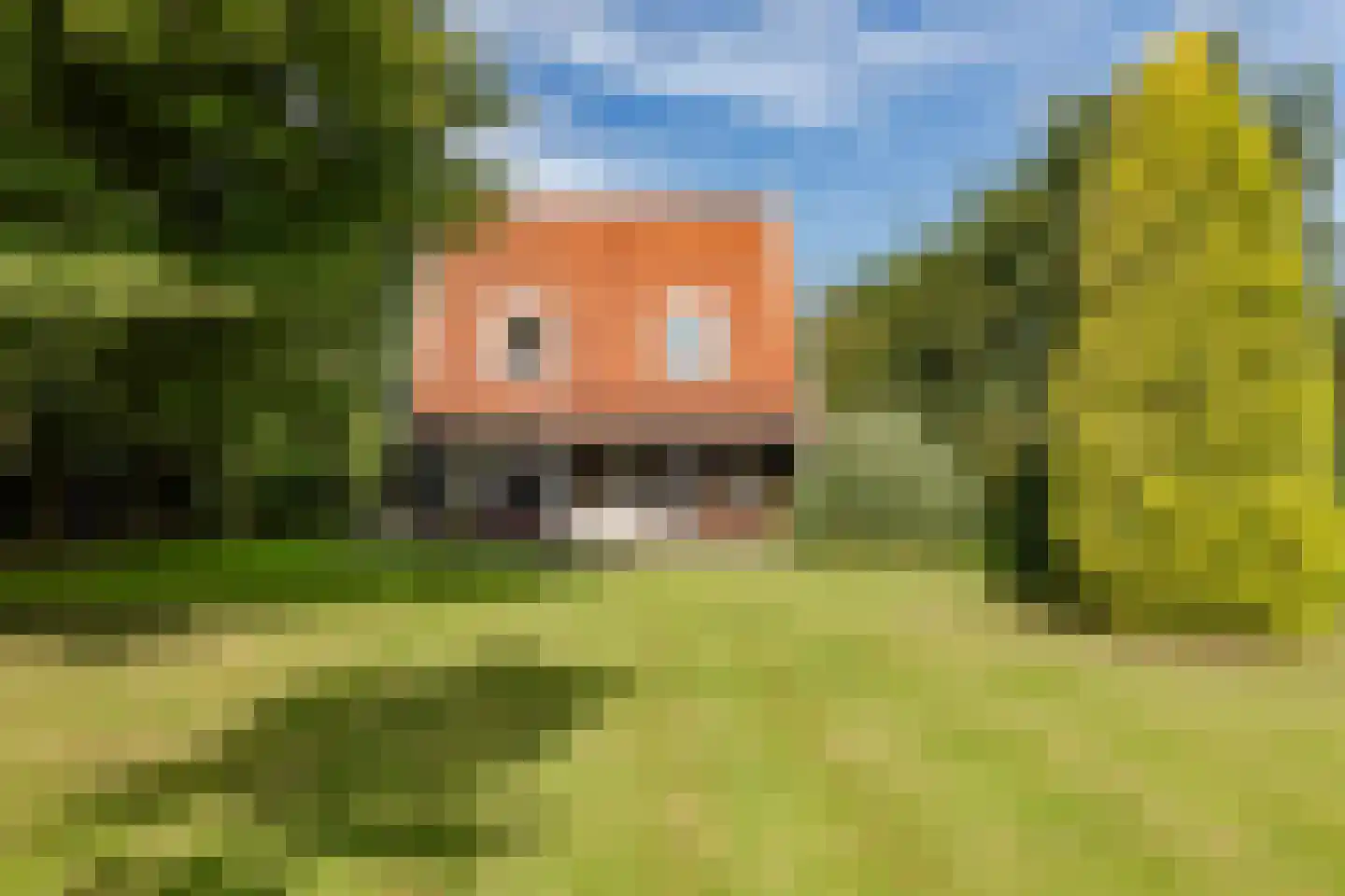 Nekkerweg 50 Zuidoostbeemster thumbnail 21