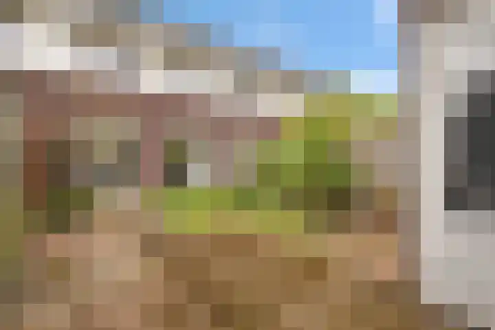 Nel Banninkstraat 23 Zwolle thumbnail 27
