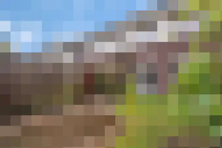 Nel Banninkstraat 23 Zwolle thumbnail 28