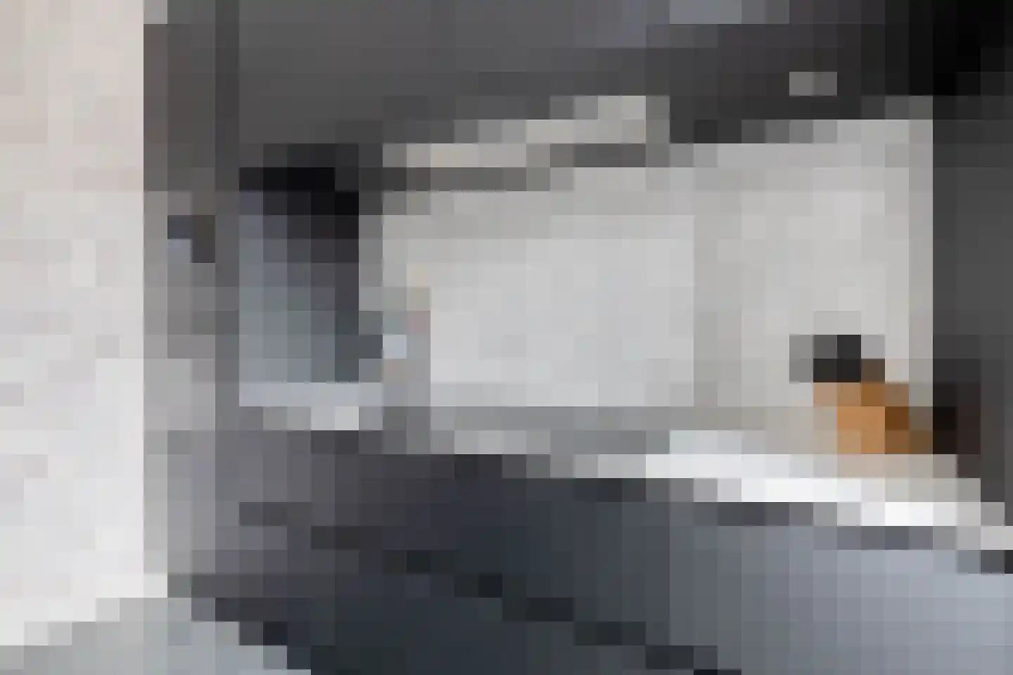 Nellemenkeslaan 50 Belfeld thumbnail 10
