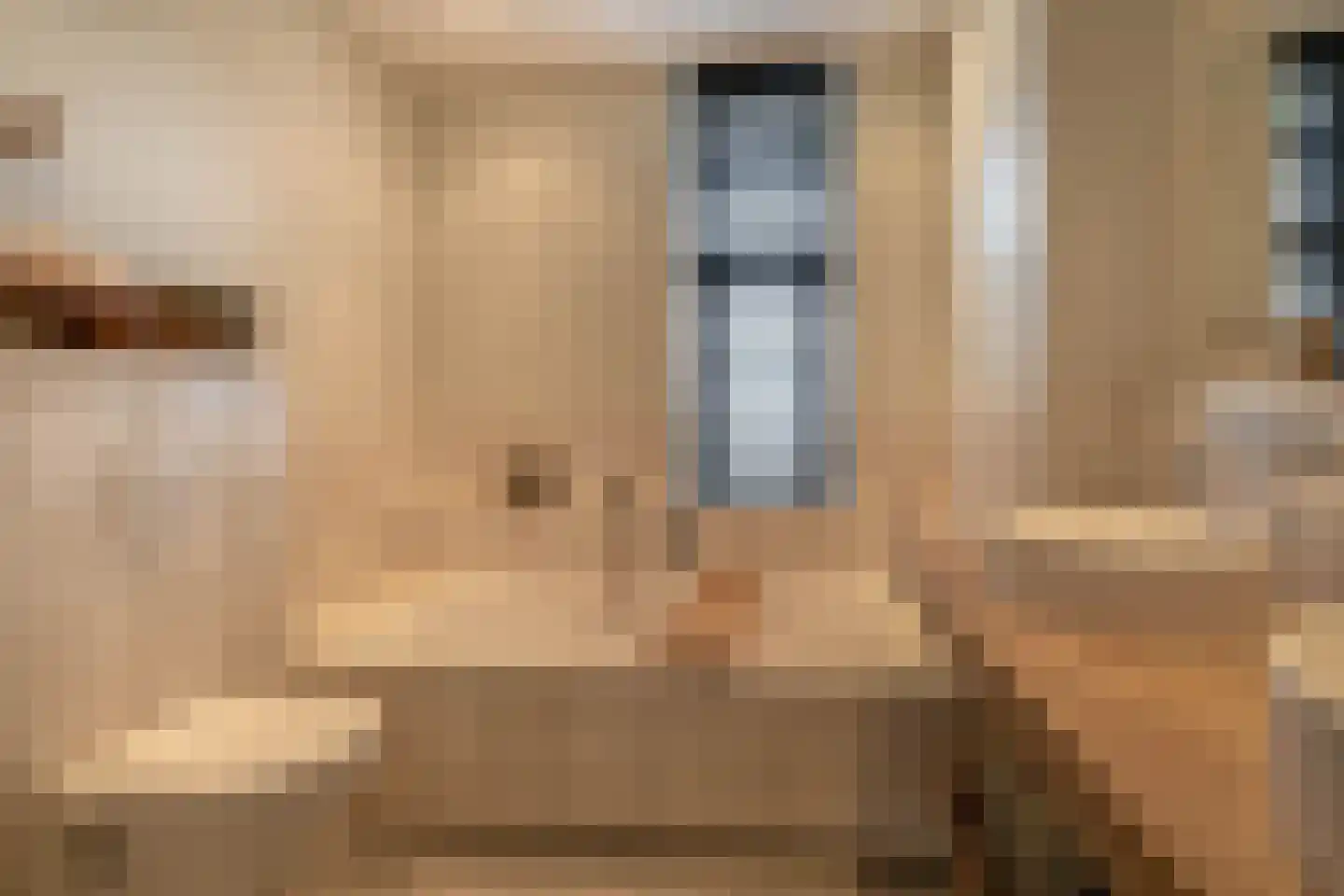 Nellemenkeslaan 50 Belfeld thumbnail 16