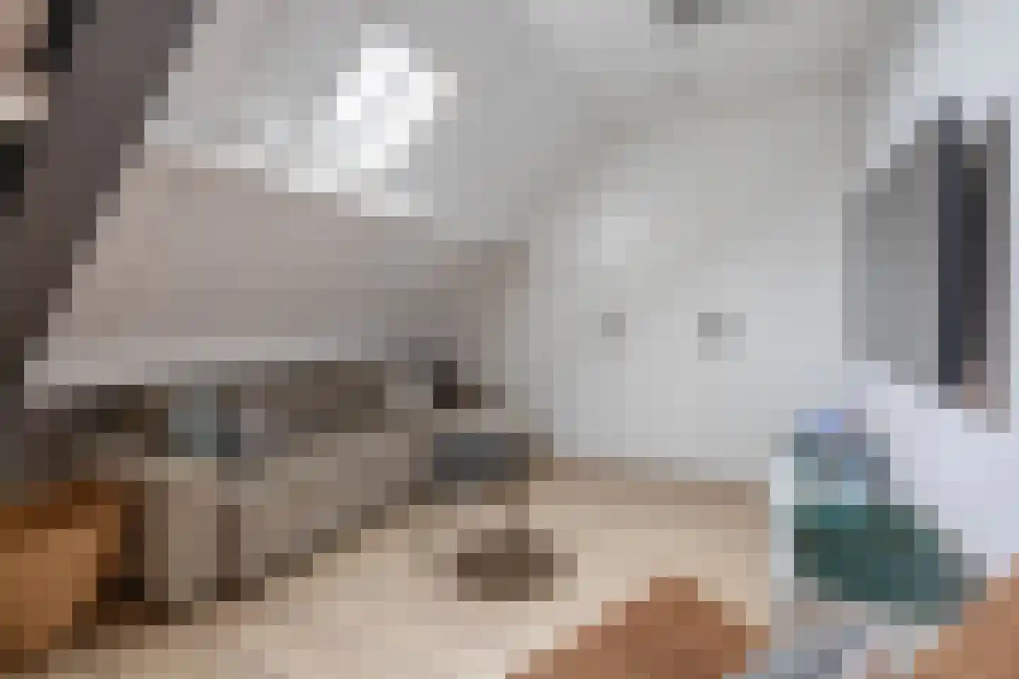 Nellemenkeslaan 50 Belfeld thumbnail 22