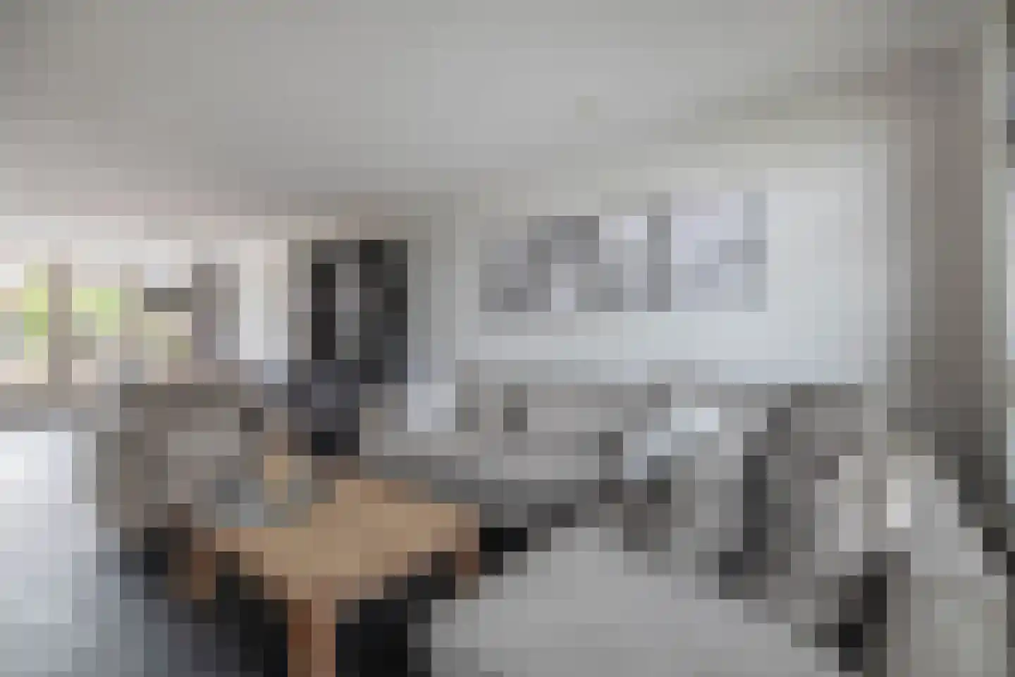 Nellemenkeslaan 50 Belfeld thumbnail 7