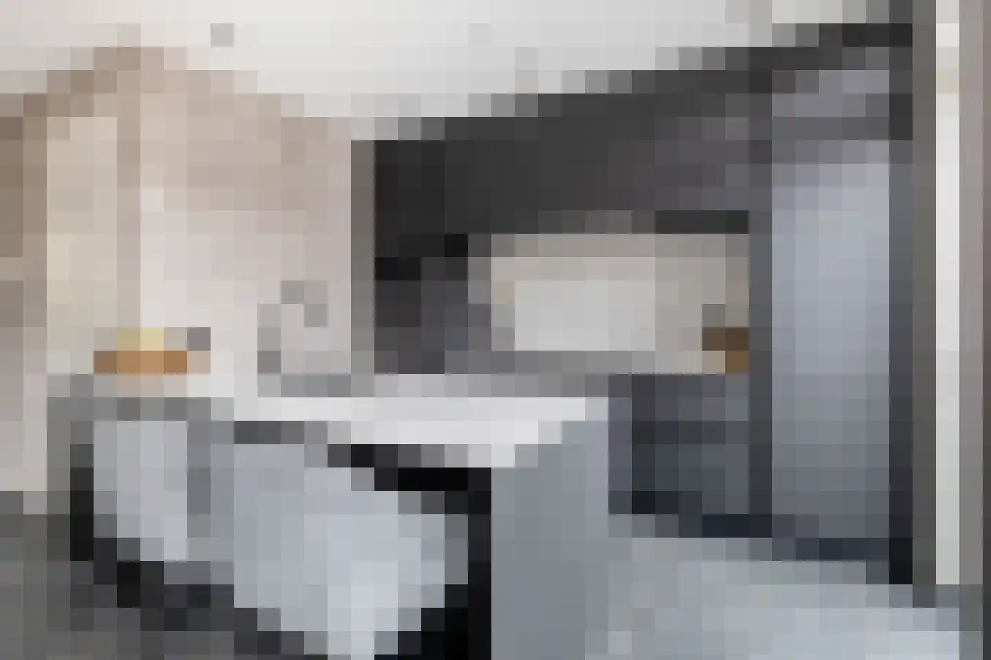 Nellemenkeslaan 50 Belfeld thumbnail 9