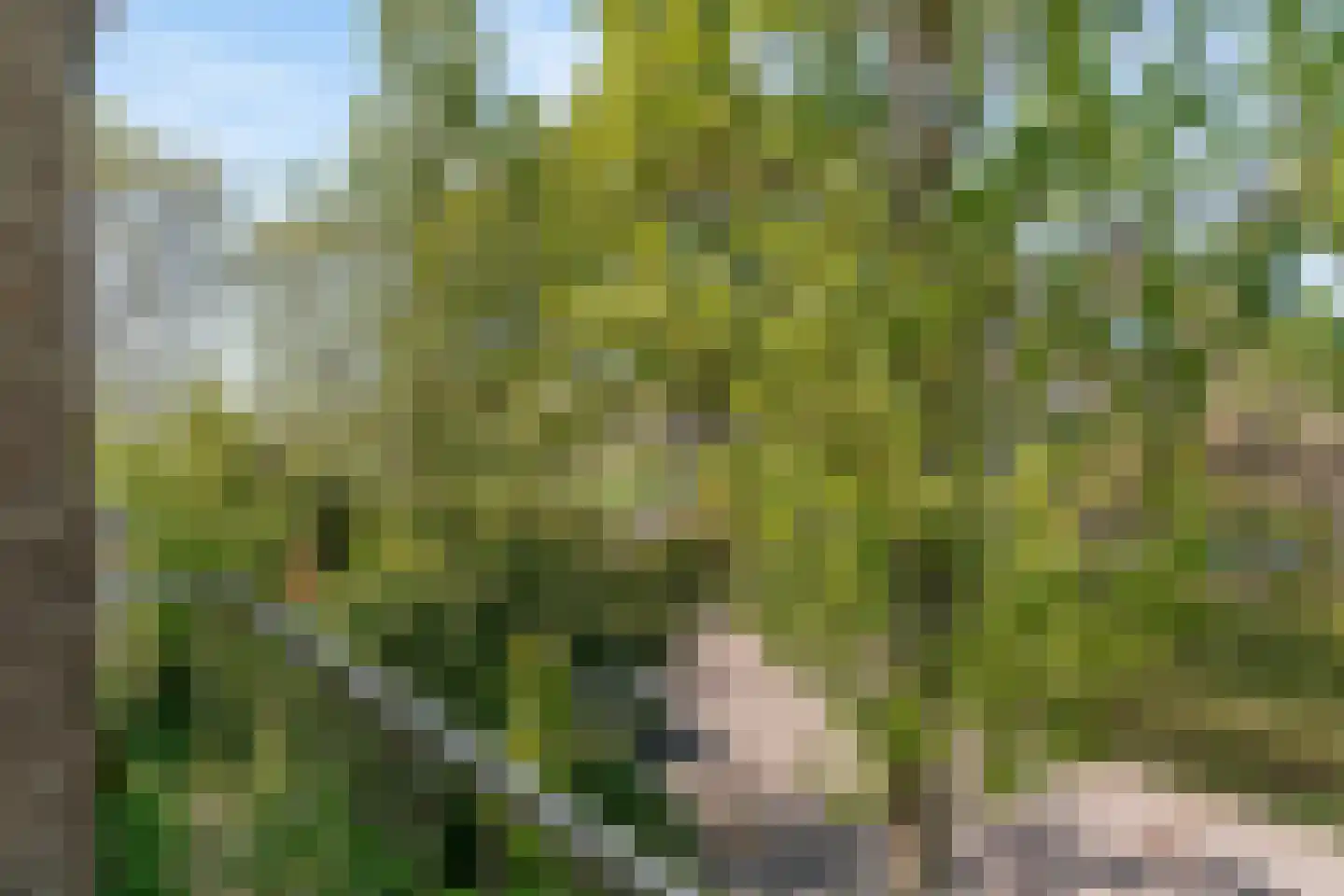 Nellestein 17 Abcoude thumbnail 14