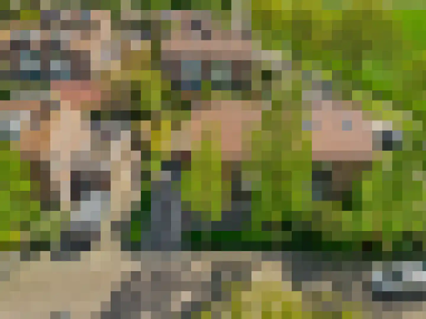 Nellestein 17 Abcoude thumbnail 37
